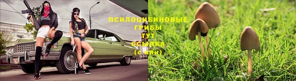 тгк Балахна